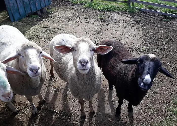 Hof Grünfelder * Friedersdorf