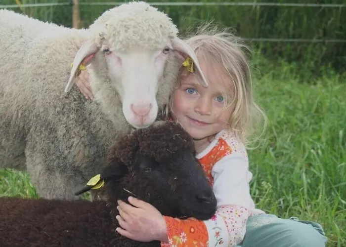 Apartamento Hof Grünfelder Friedersdorf